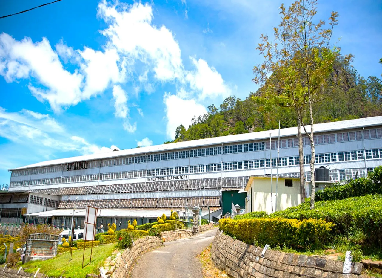Dambatenne Tea Factory